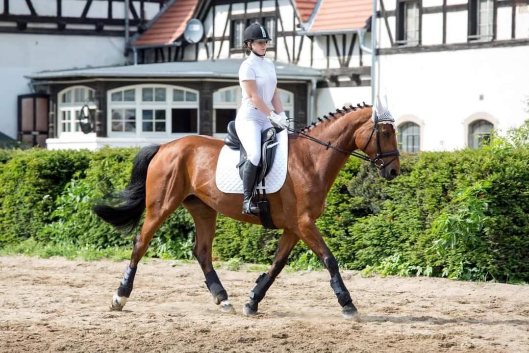Przy Oslej Bramie - Zamek Ksiaz 3*